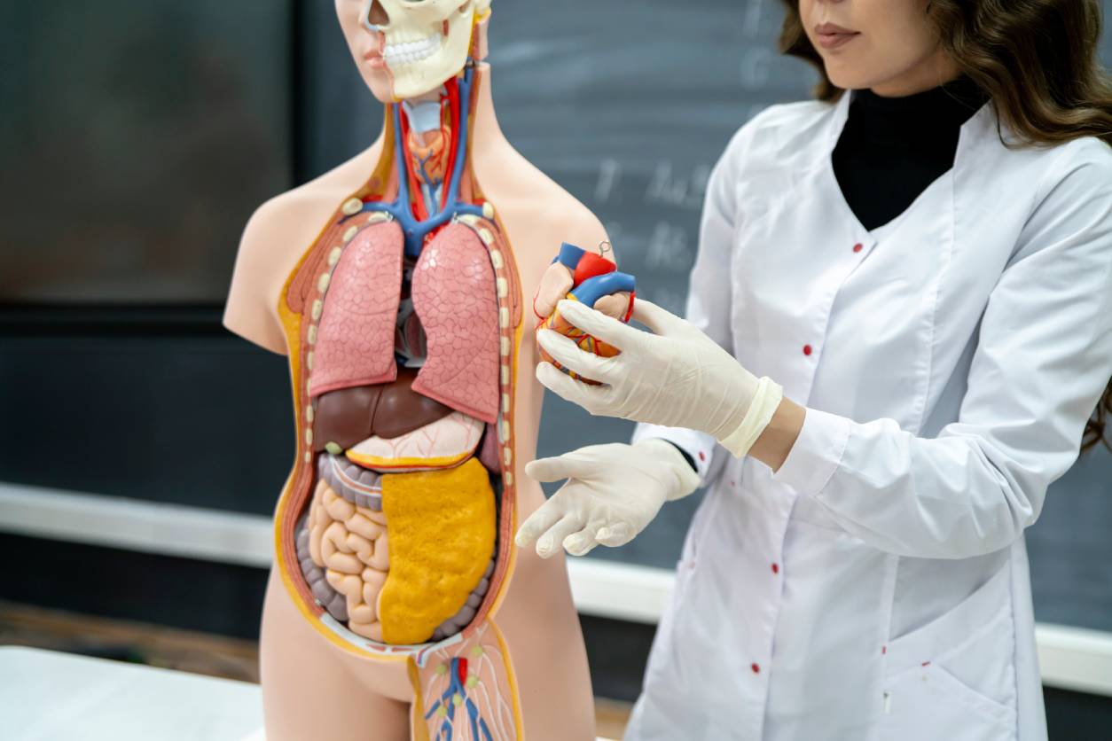 Dysphagia evaluation and treatment at ENT Central